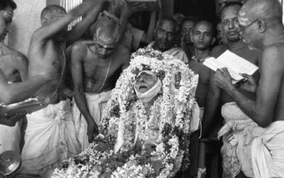 Az emberállat, aki lepisili a szentet