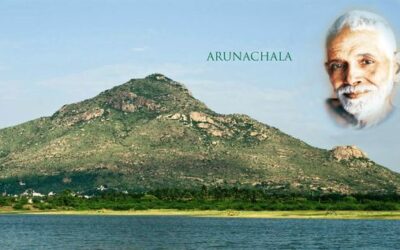 A szexus veszélyeiről, a felelőtlen férfiről