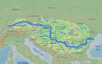 Festészet= kiszolgáltatottság (jegyzet az Ott torony volt című festmény mellé)